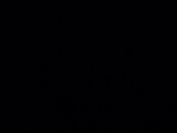 licablack from chaturbate taken in 2024-12-11