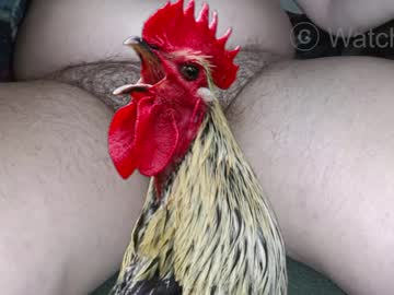 watcher_9 from chaturbate taken in 2025-02-18