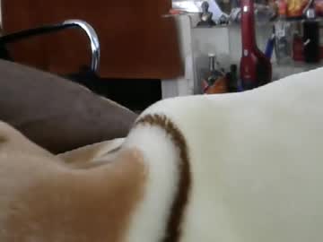 ebonyendebeest from chaturbate taken in 2025-03-23