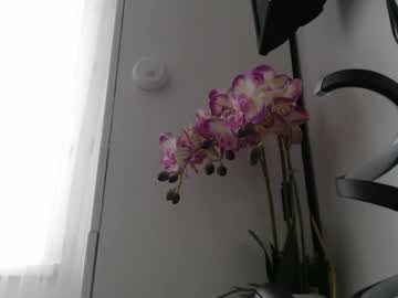 xxxariell_sky_1 from chaturbate taken in 2025-03-13