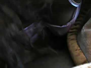 ebonyendebeest from chaturbate taken in 2025-04-21