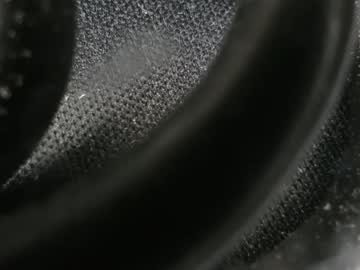 magicmushroomhead1964 from chaturbate taken in 2025-04-17