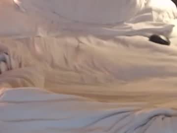 st8llion from chaturbate taken in 2025-04-20