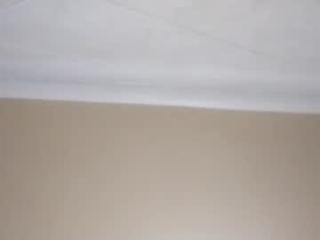 hamonoleoso from chaturbate taken in 2026-05-24